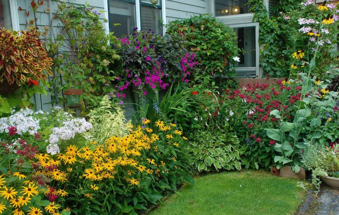 Многолетние садовые цветы для дачи – фото, названия, описания