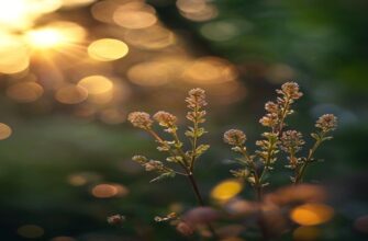 Obshhie Trebovaniya Dlya Domashnih Uslovij