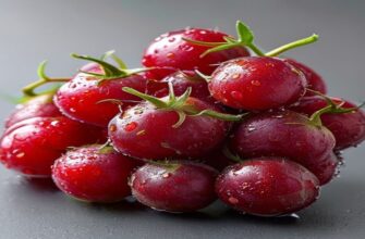 Какая хорошая малина сорт?