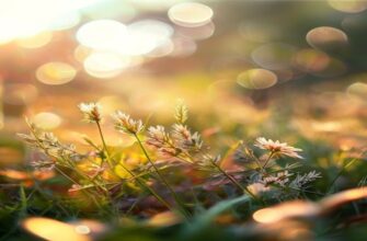 Сравнение влияния кормовых добавок на яйценоскость кур и молодой